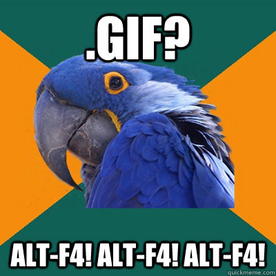 .gif? ALT-f4! alt-f4! alt-f4! - .gif? ALT-f4! alt-f4! alt-f4!  Paranoid Parrot