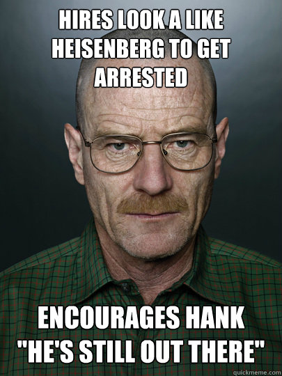hires look a like Heisenberg to get arrested  encourages hank 