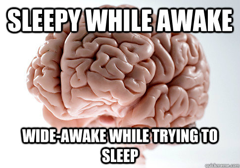 Sleepy while awake Wide-awake while trying to sleep  Scumbag Brain