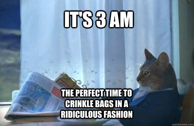 It's 3 am The perfect time to crinkle bags in a ridiculous fashion  Sophisticated Cat