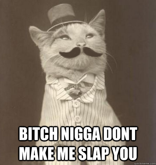  Bitch nigga dont make me slap you  Original Business Cat