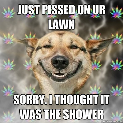 JUST PISSED ON UR LAWN SORRY. I THOUGHT IT WAS THE SHOWER  Stoner Dog