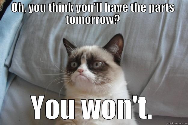 OH, YOU THINK YOU'LL HAVE THE PARTS TOMORROW? YOU WON'T. Grumpy Cat