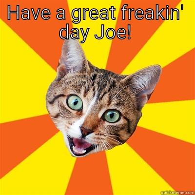 Freaking morning - HAVE A GREAT FREAKIN' DAY JOE!  Bad Advice Cat