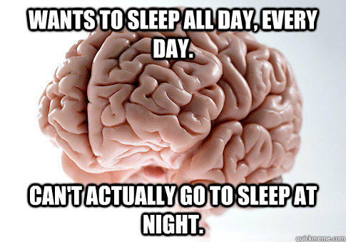 Wants to sleep all day, every day. Can't actually go to sleep at night.  Scumbag Brain