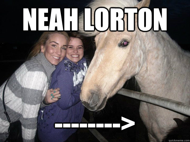 Neah Lorton -------->  Ridiculously Photogenic Horse