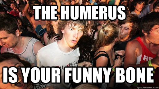 The humerus is your funny bone  Sudden Clarity Clarence