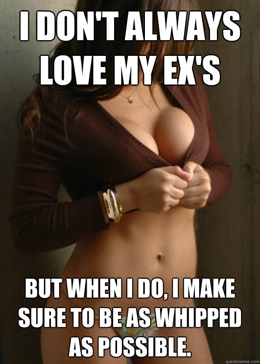I don't always love my ex's but when I do, I make sure to be as whipped as possible.  Boobtastic Chick