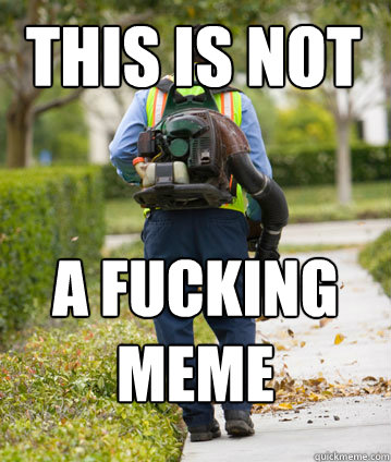 this is not a fucking meme  - this is not a fucking meme   Mexican Leafblower