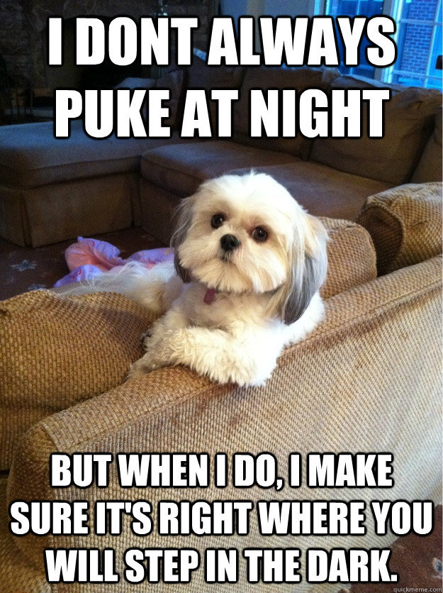 I dont always puke at night but when i do, i make sure it's right where you will step in the dark.  