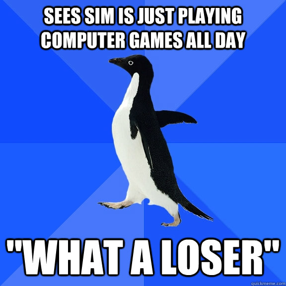 Sees sim is just playing computer games all day 