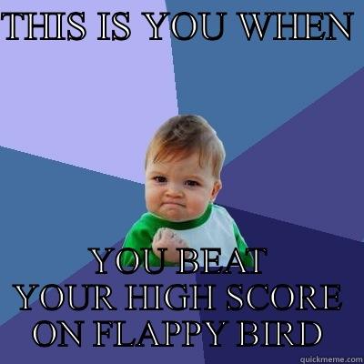 THIS IS YOU WHEN  YOU BEAT YOUR HIGH SCORE ON FLAPPY BIRD Success Kid