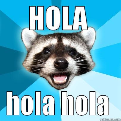 HOLA HOLA HOLA Lame Pun Coon