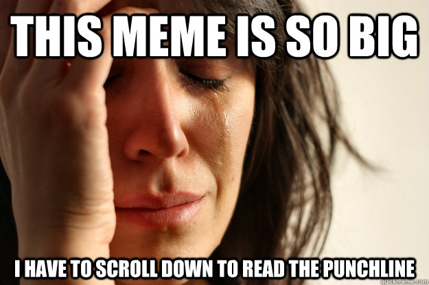 this meme is so big i have to scroll down to read the punchline  First World Problems