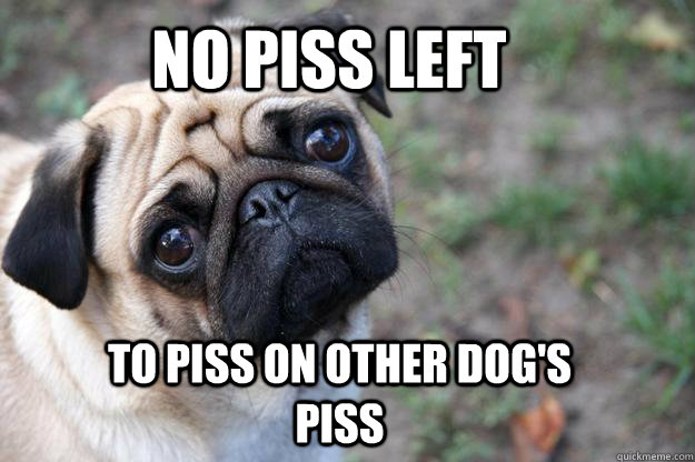 No Piss Left to piss on other dog's piss  