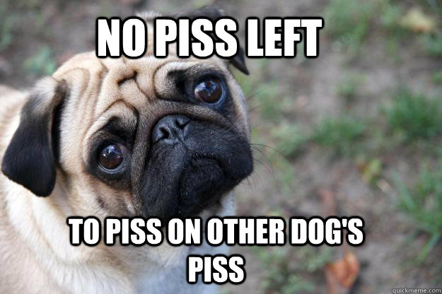 No Piss Left to piss on other dog's piss - No Piss Left to piss on other dog's piss  First World Dog problems