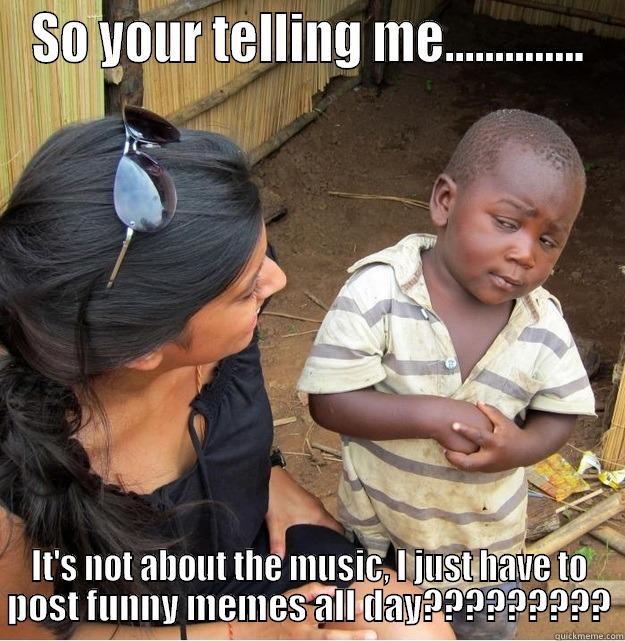 SO YOUR TELLING ME.............. IT'S NOT ABOUT THE MUSIC, I JUST HAVE TO POST FUNNY MEMES ALL DAY????????? Skeptical Third World Kid