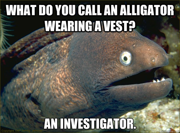 What do you call an alligator wearing a vest? An investigator.  Bad Joke Eel