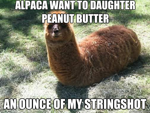Alpaca want to daughter peanut butter an ounce of my stringshot  Alpacapillar