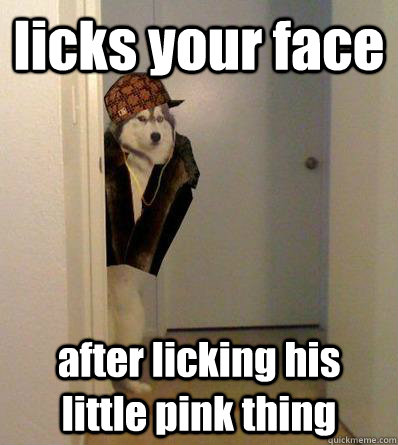licks your face after licking his little pink thing  Scumbag dog