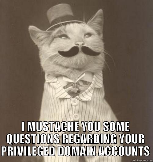 QUITE QUITE -  I MUSTACHE YOU SOME QUESTIONS REGARDING YOUR PRIVILEGED DOMAIN ACCOUNTS Original Business Cat
