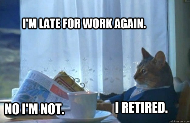 I'm late for work again. No I'm not. I retired. - I'm late for work again. No I'm not. I retired.  Sophisticated Cat