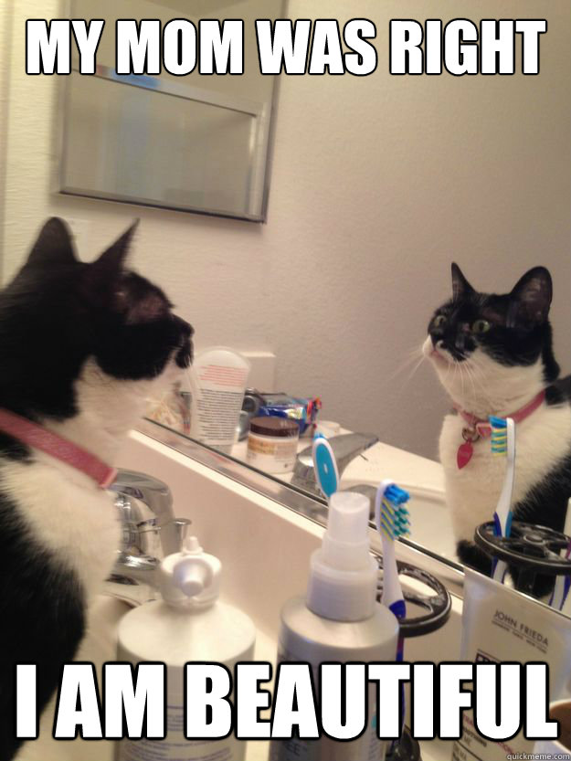 MY MOM WAS RIGHT I AM BEAUTIFUL - MY MOM WAS RIGHT I AM BEAUTIFUL  Self Help Cat