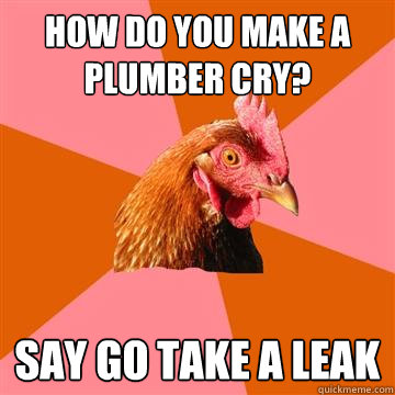 How do you make a plumber cry? say go take a leak  Anti-Joke Chicken