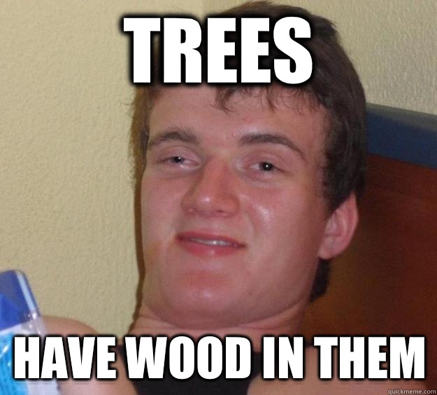 trees have wood in them  10 Guy
