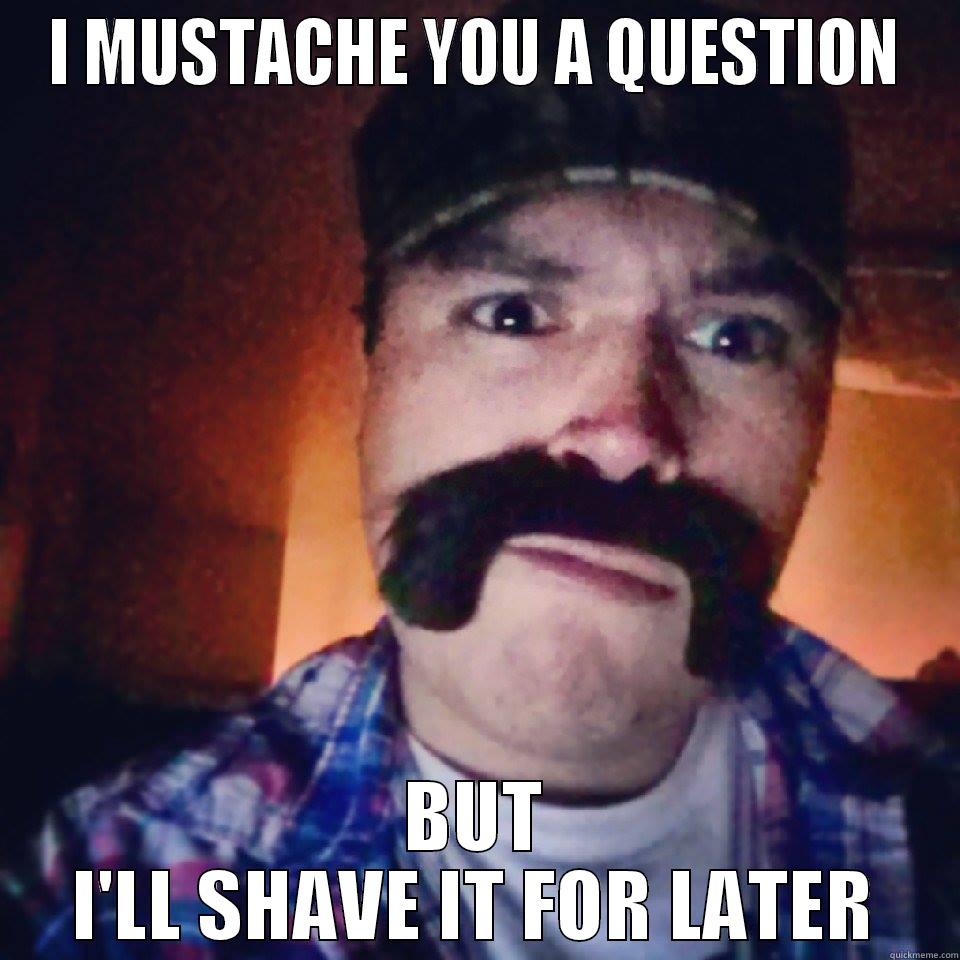 Funny Question - I MUSTACHE YOU A QUESTION BUT I'LL SHAVE IT FOR LATER Misc
