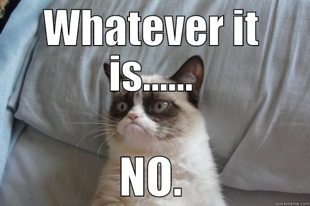 WHATEVER IT IS...... NO. Grumpy Cat