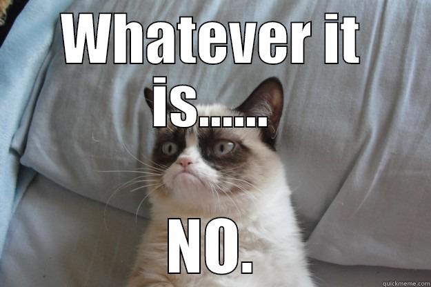 Grumpy Cat's Motto - WHATEVER IT IS...... NO. Grumpy Cat