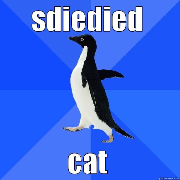 SDIEDIED CAT Socially Awkward Penguin