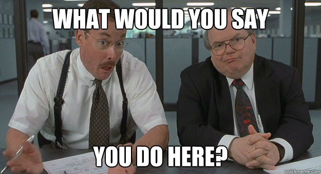 What would you say You do here? - What would you say You do here?  Office Space