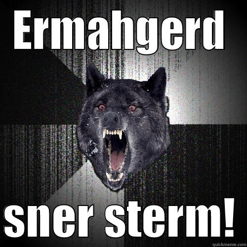 ERMAHGERD  SNER STERM! Insanity Wolf