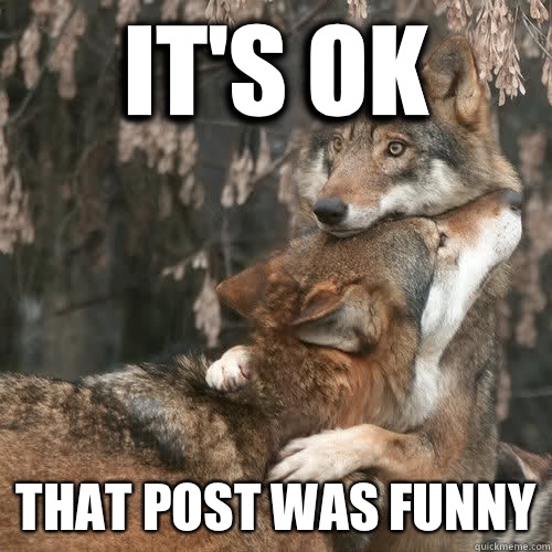It's ok That post was funny  Comfort Wolf
