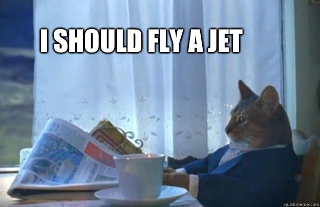 I Should fly a jet  Sophisticated Cat