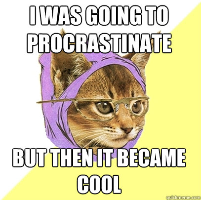 I was going to procrastinate but then it became cool  Hipster Kitty