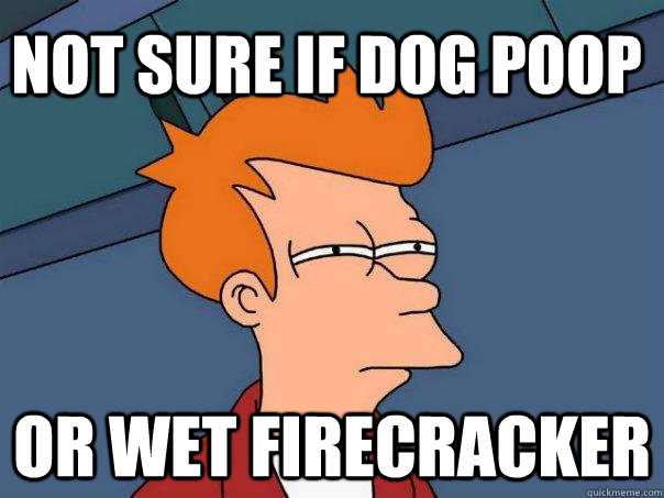 not sure if dog poop or wet firecracker  Futurama Fry