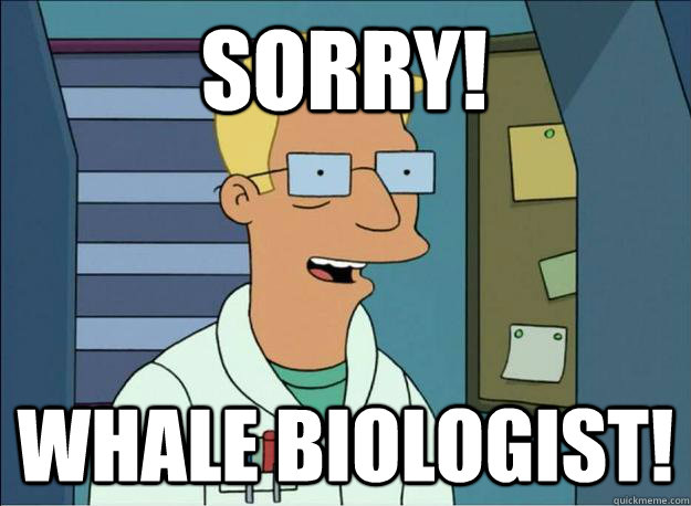 Sorry! Whale biologist! - Sorry! Whale biologist!  Honest Whale Biologist