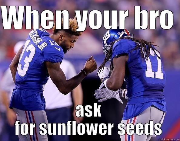 WHEN YOUR BRO  ASK FOR SUNFLOWER SEEDS Misc