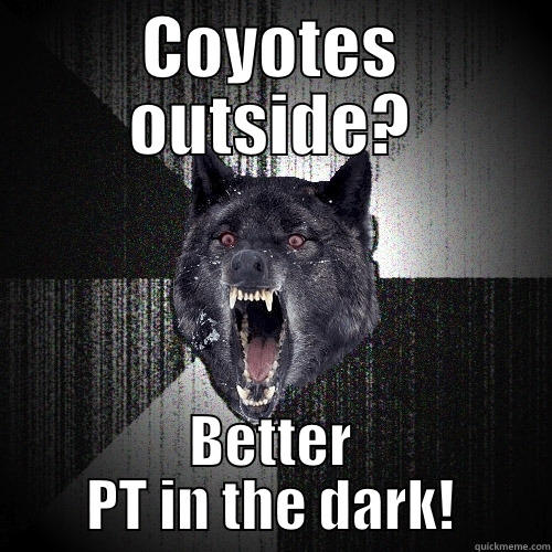 COYOTES OUTSIDE? BETTER PT IN THE DARK! Insanity Wolf