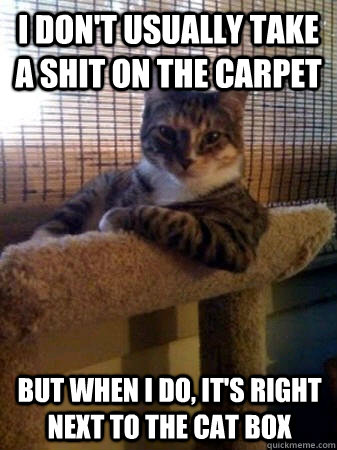 I don't usually take a shit on the carpet but when I do, it's right next to the cat box  The Most Interesting Cat in the World