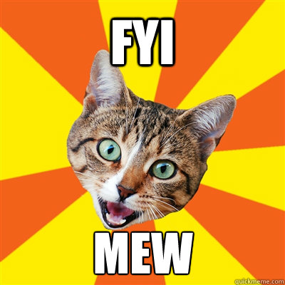 FYI MEW  Bad Advice Cat