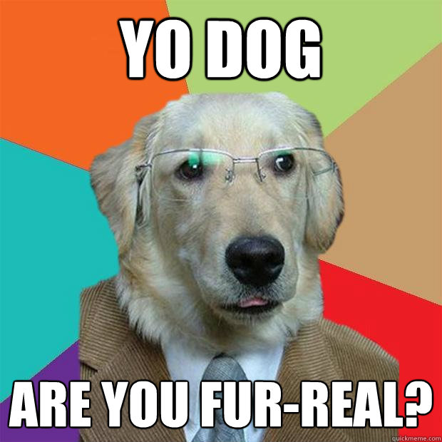 yo dog are you fur-real?  Business Dog