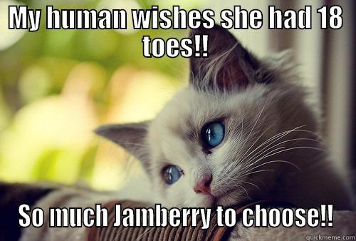 MY HUMAN WISHES SHE HAD 18 TOES!! SO MUCH JAMBERRY TO CHOOSE!! First World Problems Cat