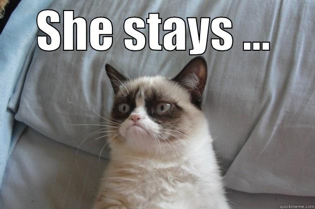 SHE STAYS ...  Grumpy Cat