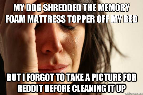 My dog shredded the memory foam mattress topper off my bed but I forgot to take a picture for reddit before cleaning it up  First World Problems