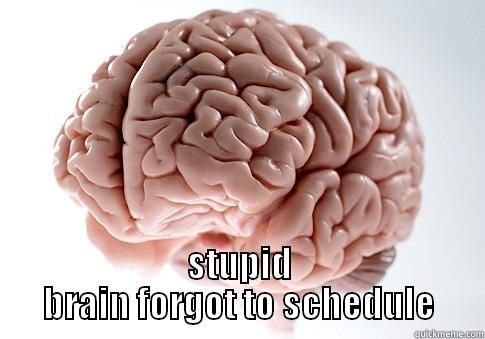  STUPID BRAIN FORGOT TO SCHEDULE Scumbag Brain