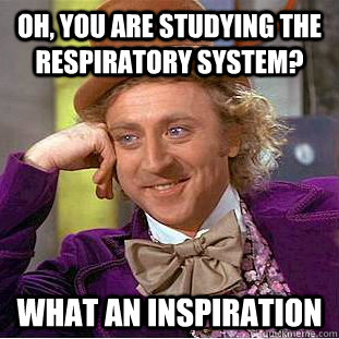 Oh, you are studying the respiratory system? What an inspiration  Condescending Wonka